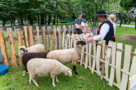 Kolyba w Parku Kopczyńskiego
